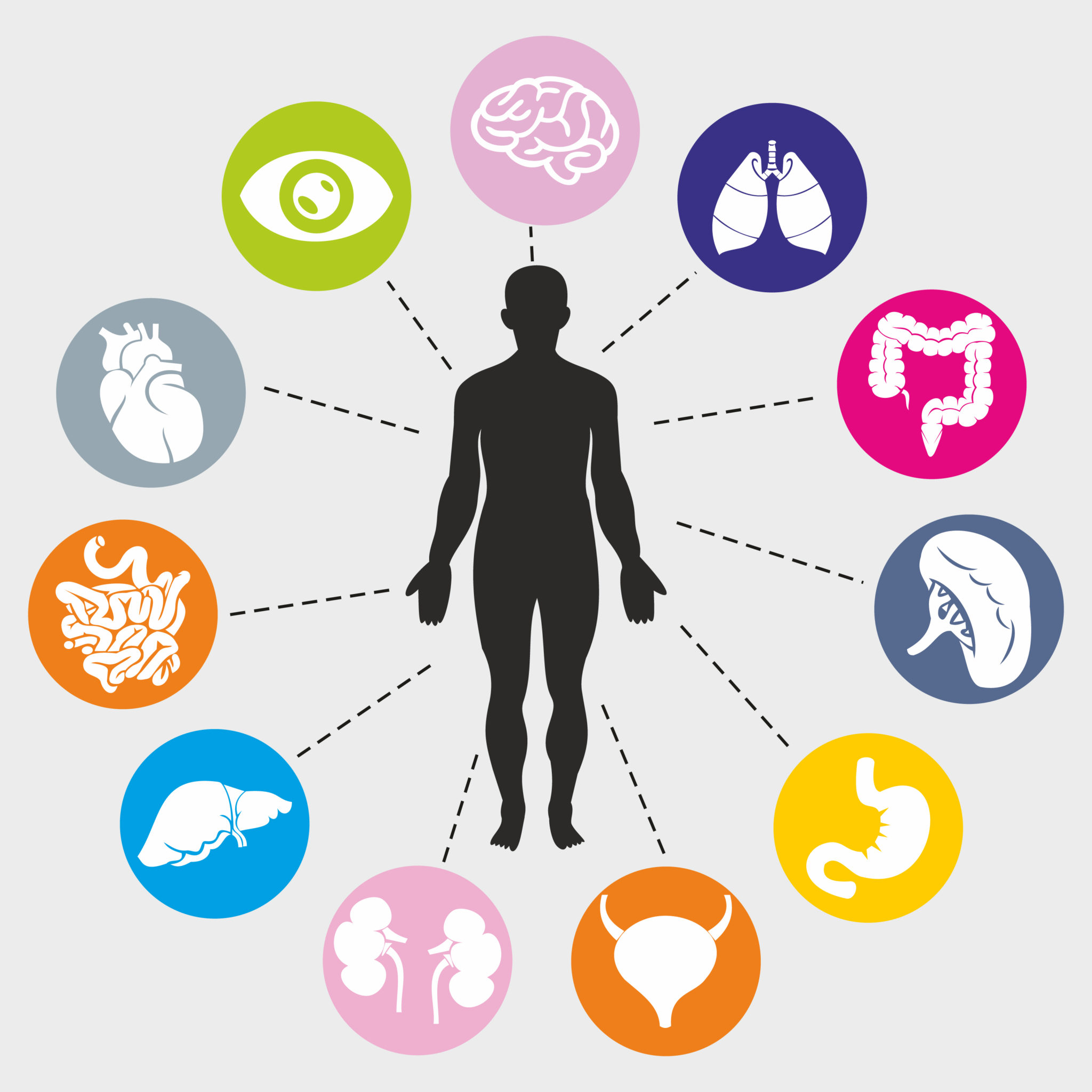 stock-vector-illustration-of-healthcare-and-medical-infographics-with-human-anatomy-373669444