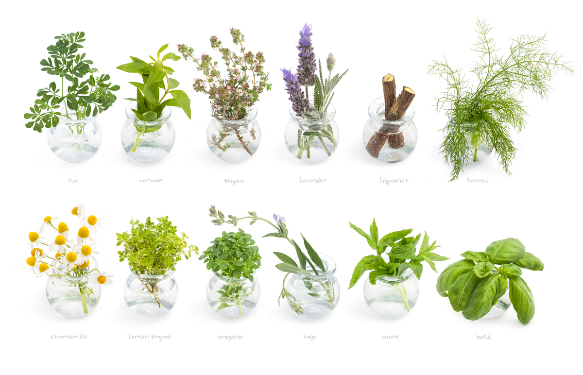 iStock-687642968_reduite