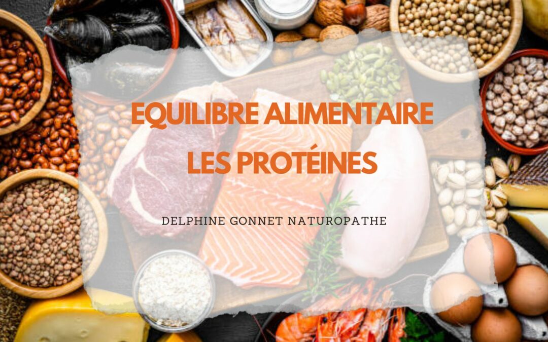 Equilibre alimentaire, les protéines sont des macronutriments indispensables pour l'organisme